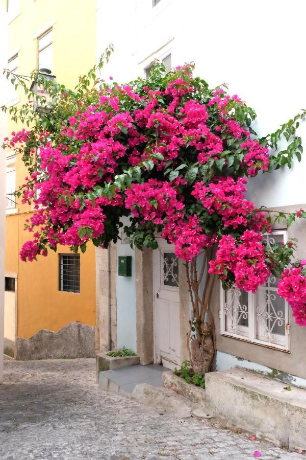 Proa D'alfama Appartement *